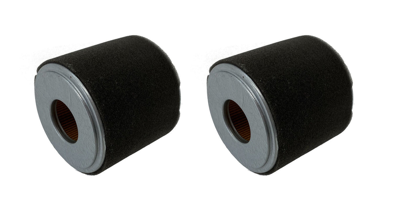 Honda Original Equipment Air Cleaner Element 2 Pack - 17210-Z1C-781