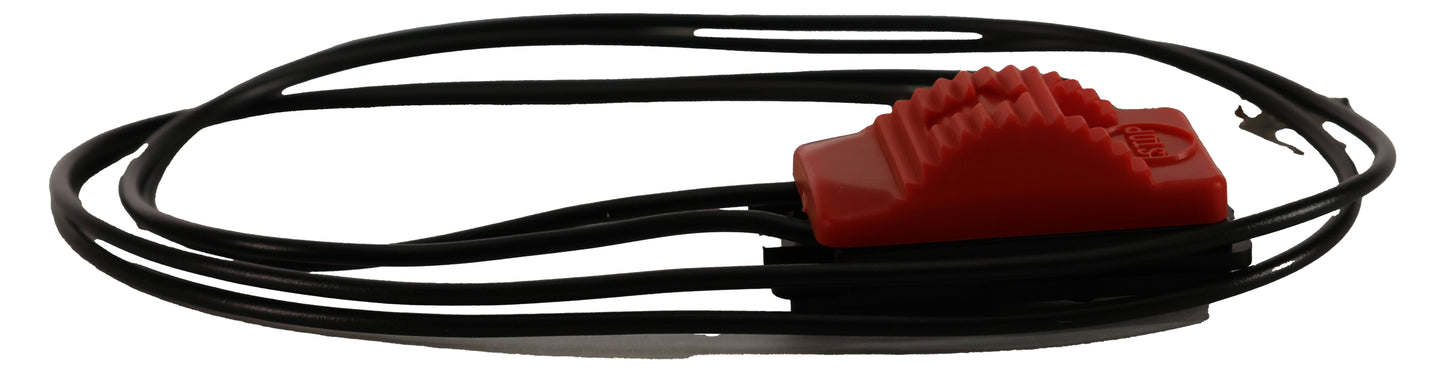 Echo Original Equipment Ignition Switch Switch - A440001390