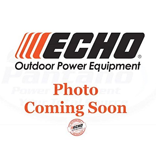Echo Original Equipment Tube-Mount Throttle Assembly - 99944100003