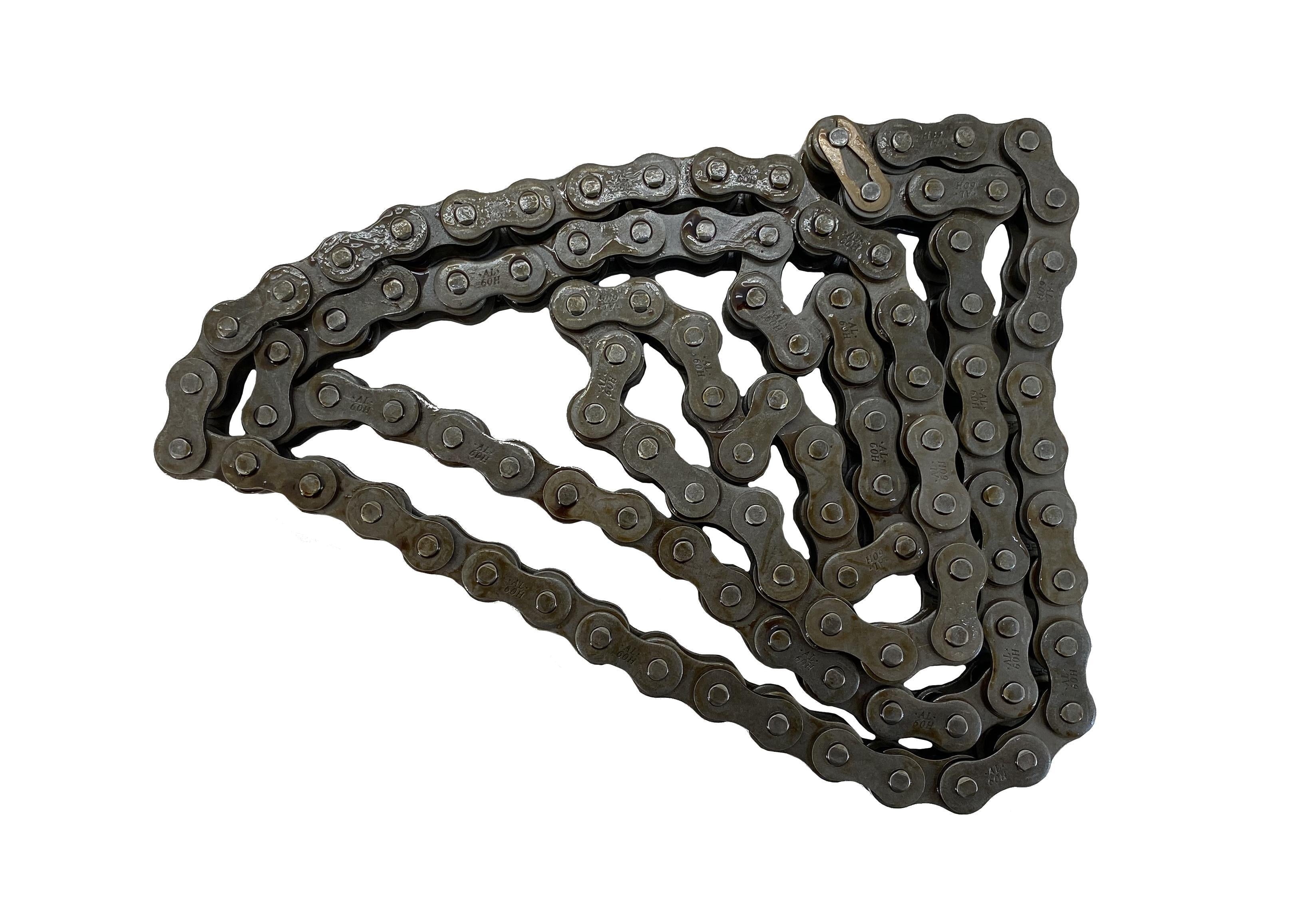 John Deere Original Rollenkette #AM121965 – Antriebskette Für Schneefräsen & Traktoren