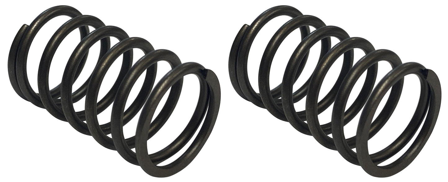 Honda (2-Pack) Original Equipment Valve Spring - 14751-ZE1-000,2