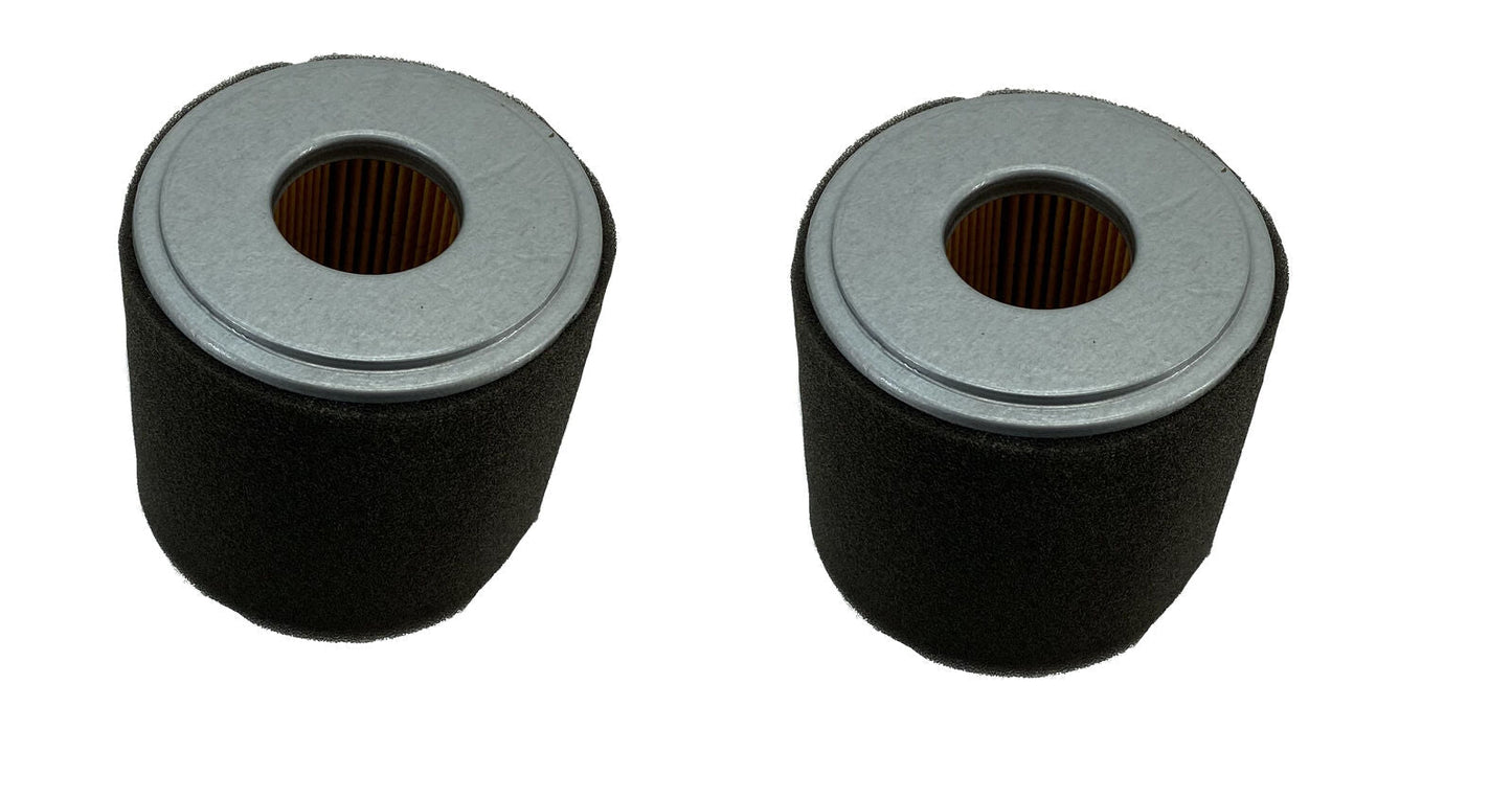 Honda Original Equipment Air Cleaner Element 2 Pack - 17210-Z1C-781