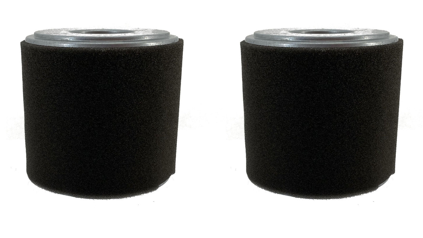 Honda Original Equipment Air Cleaner Element 2 Pack - 17210-Z1C-781