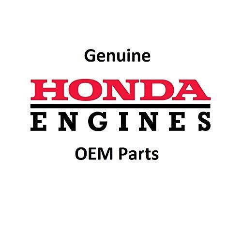 Honda Original Equipment (2 PACK) Filter (Outer) - 17218-Z0A-810