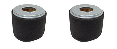 Honda (2 PACK) OEM Air Cleaner Element - 17210-ZE2-822,2