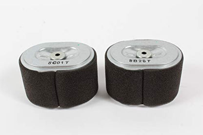 Honda (2 PACK) Air Filter - 17210-Z4M-821