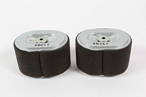 Honda (2 PACK) Air Filter - 17210-Z4M-821