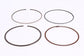 Honda Original Equipment Piston Ring Set (STD) (RIKEN) - 13010-Z4M-801