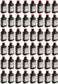 Echo Original Equipment 48-PACK Red Armor 2-Cycle Engine Oil (6.4 fl oz Bottle) - 6550025