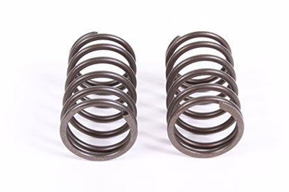 Honda (2-Pack) Original Equipment Valve Spring - 14751-ZE1-000,2