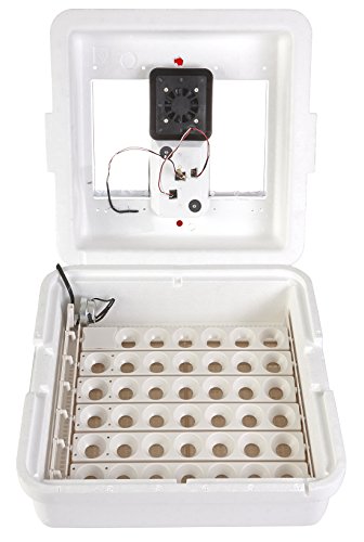 Little Giant Deluxe Incubator with Egg Turner - 11300