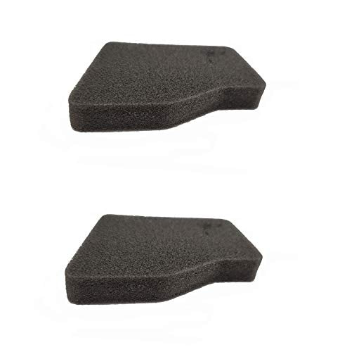 Honda (2 PACK) Element Air Cleaner - 17211-ZT3-000