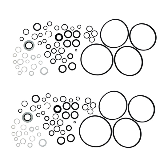John Deere Original Equipment Valve Kit 2 Pack - RE10924