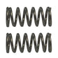 Honda Original Equipment Spring (Pack of 2) - 36162-ZL0-D31