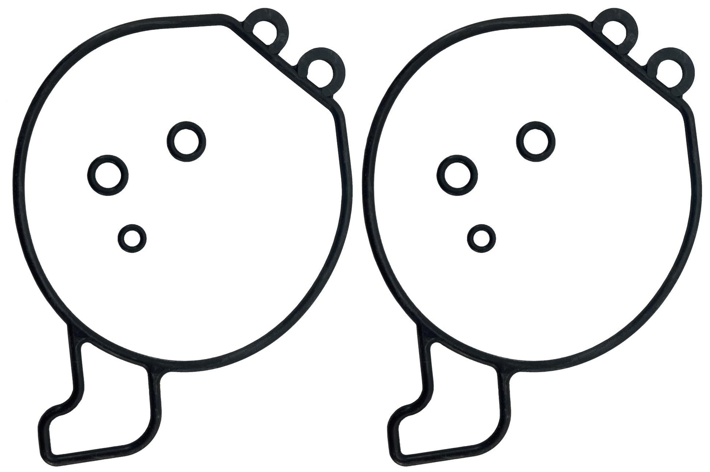Honda Original Equipment Gasket Set (Pack of 2) - 16010-ZW4-H01