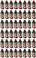 Echo Original Equipment 48-PACK Red Armor 2-Cycle Engine Oil (5.2 fl oz Bottle) - 6550002