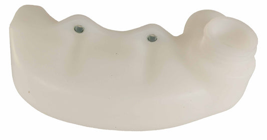 Echo Original Equipment Fuel Tank Assy - A350002600