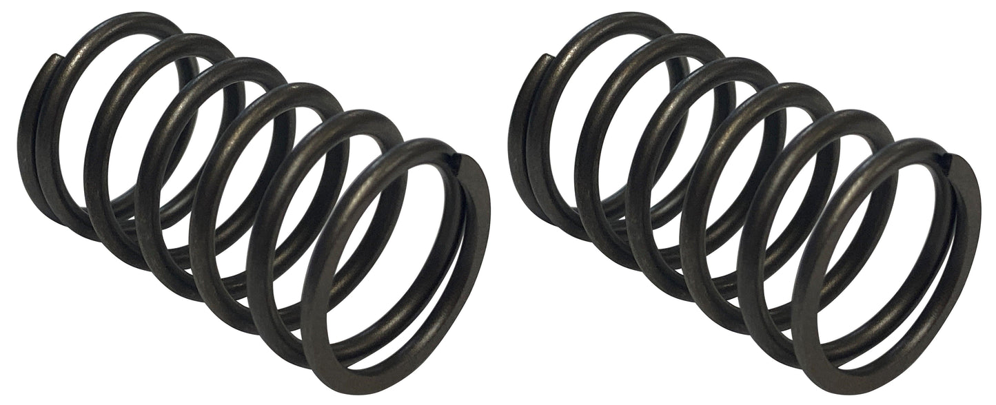 Honda (2-Pack) Original Equipment Valve Spring - 14751-ZE1-000,2