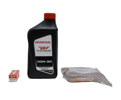 Honda HRR216K/HRX217K Tune Up Filter/Oil Kit - 98079-55846B