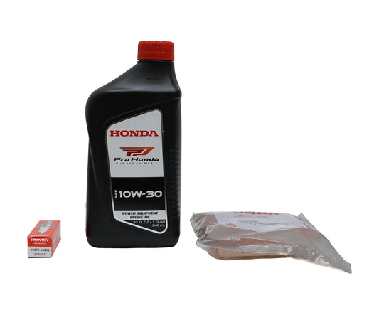 Honda HRR216K/HRX217K Tune Up Filter/Oil Kit - 98079-55846B