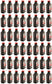 Echo Original Equipment 48-PACK Red Armor 2-Cycle Engine Oil (6.4 fl oz Bottle) - 6550025