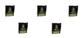 A&I Products Grandpa Gus's Rodent Repellent Pouches Pack of 5 - A-B1GPR106