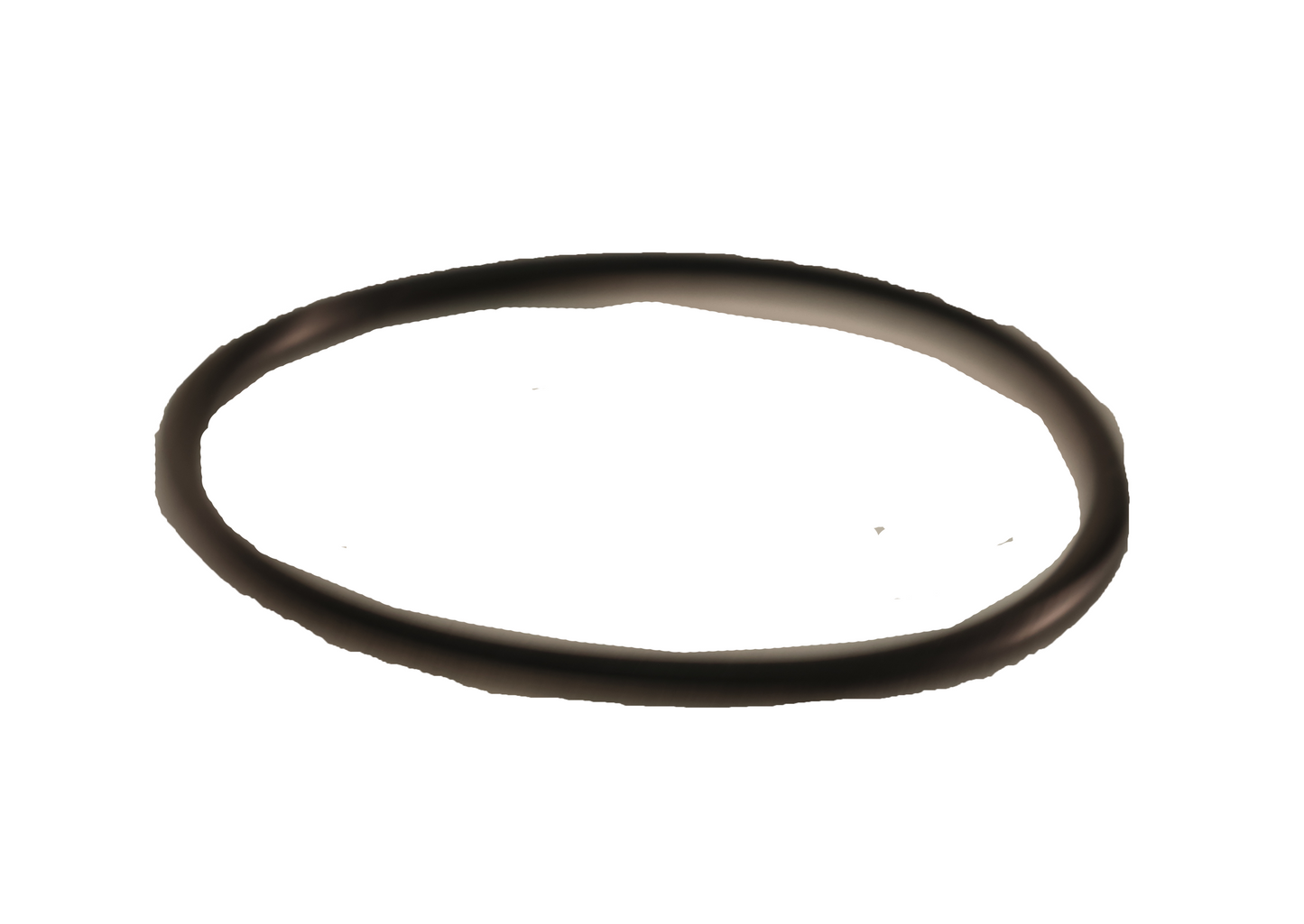 John Deere Original Equipment O-Ring - R120972