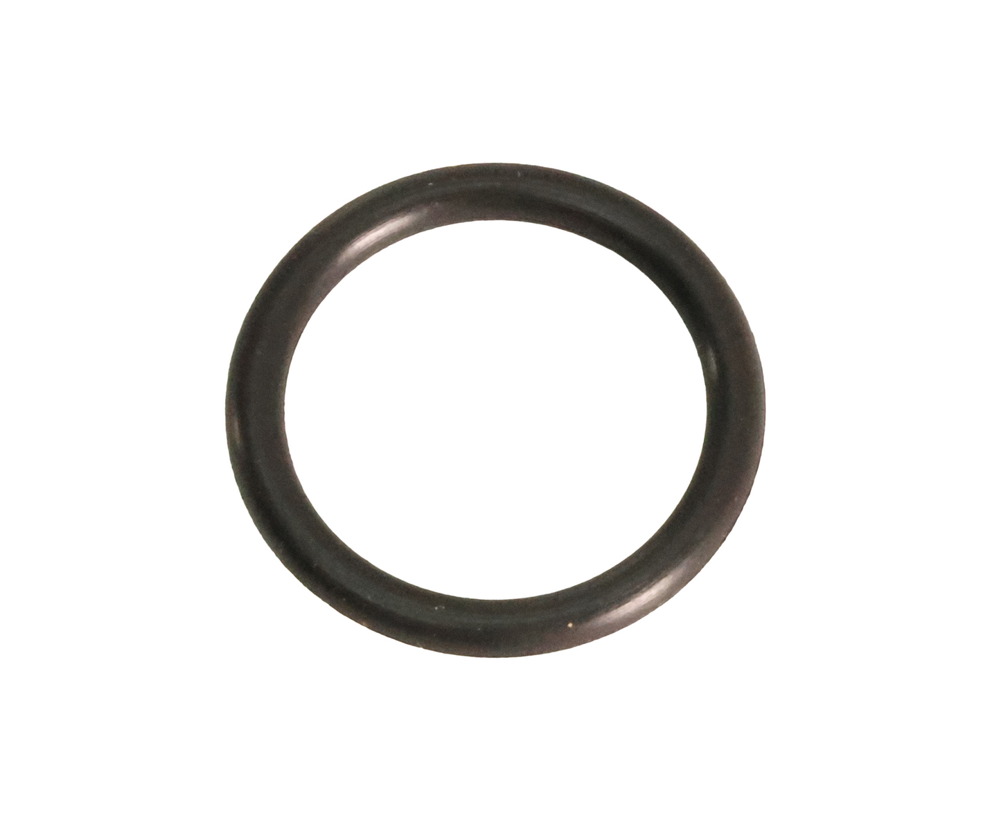T13119 O-ring replacement part