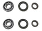 John Deere (SET OF 2) OEM Spindle Bearing Kit - M110024A