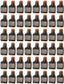 Echo Original Equipment 48-PACK Power Blend Gold Oil Mix 50:1 (2.6 fl oz Bottles) - 6450001