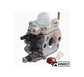 Complete Carburetor
