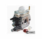 Complete Carburetor