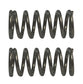 Honda Original Equipment Spring (Pack of 2) - 36162-ZL0-D31