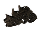 John Deere Original Equipment RowMax Gather Chain - AXE62423
