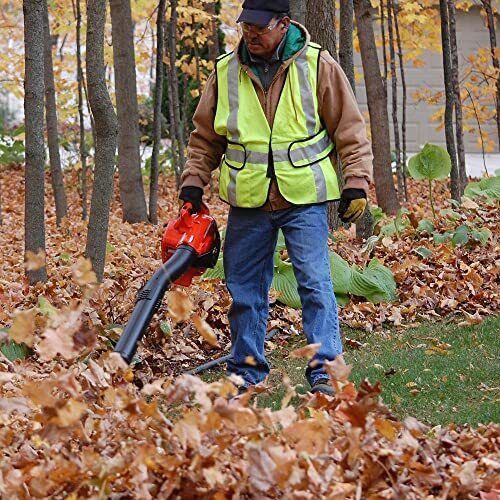 Echo Original Equipment 170 MPH 453 CFM 25.4 cc Gas 2-Stroke Handheld Leaf Blower - PB-2520AA